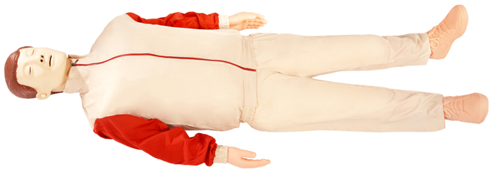 心肺復蘇模擬人，急救模型，復蘇模型，醫(yī)學模型