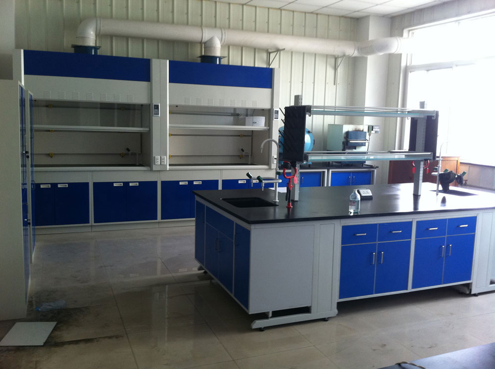 實驗室通風(fēng)柜（標(biāo)準(zhǔn)型、補風(fēng)型、聯(lián)體型、桌上型、落地式、不銹鋼通風(fēng)柜）