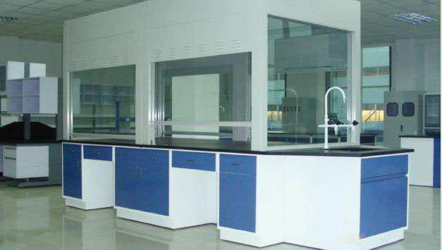 實驗室通風(fēng)柜、毒氣柜