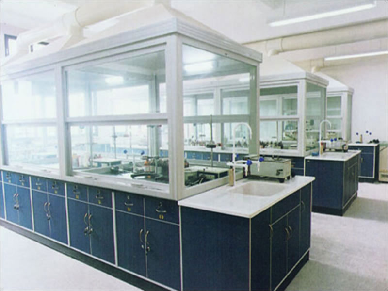 實驗室通風(fēng)柜、毒氣柜