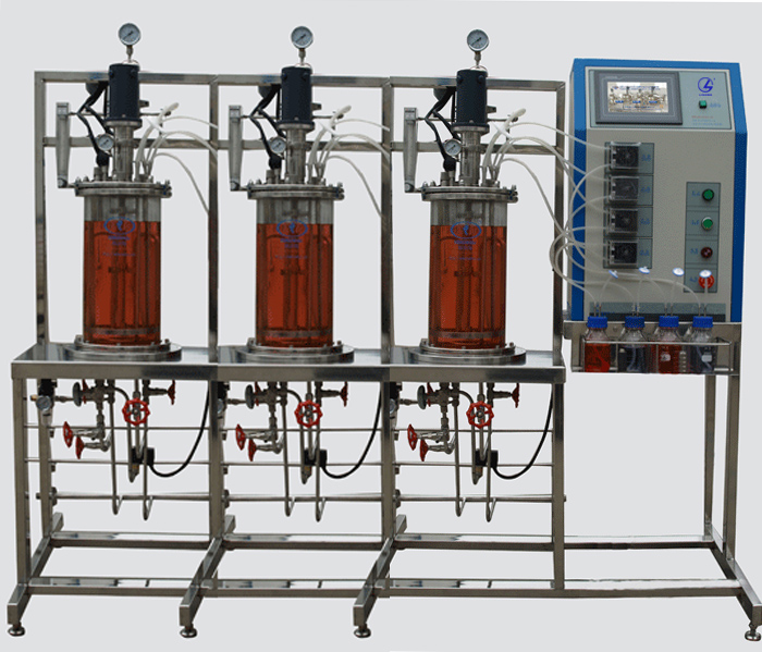 LG--DJE系列 多聯(lián)平行機械攪拌玻璃發(fā)酵罐